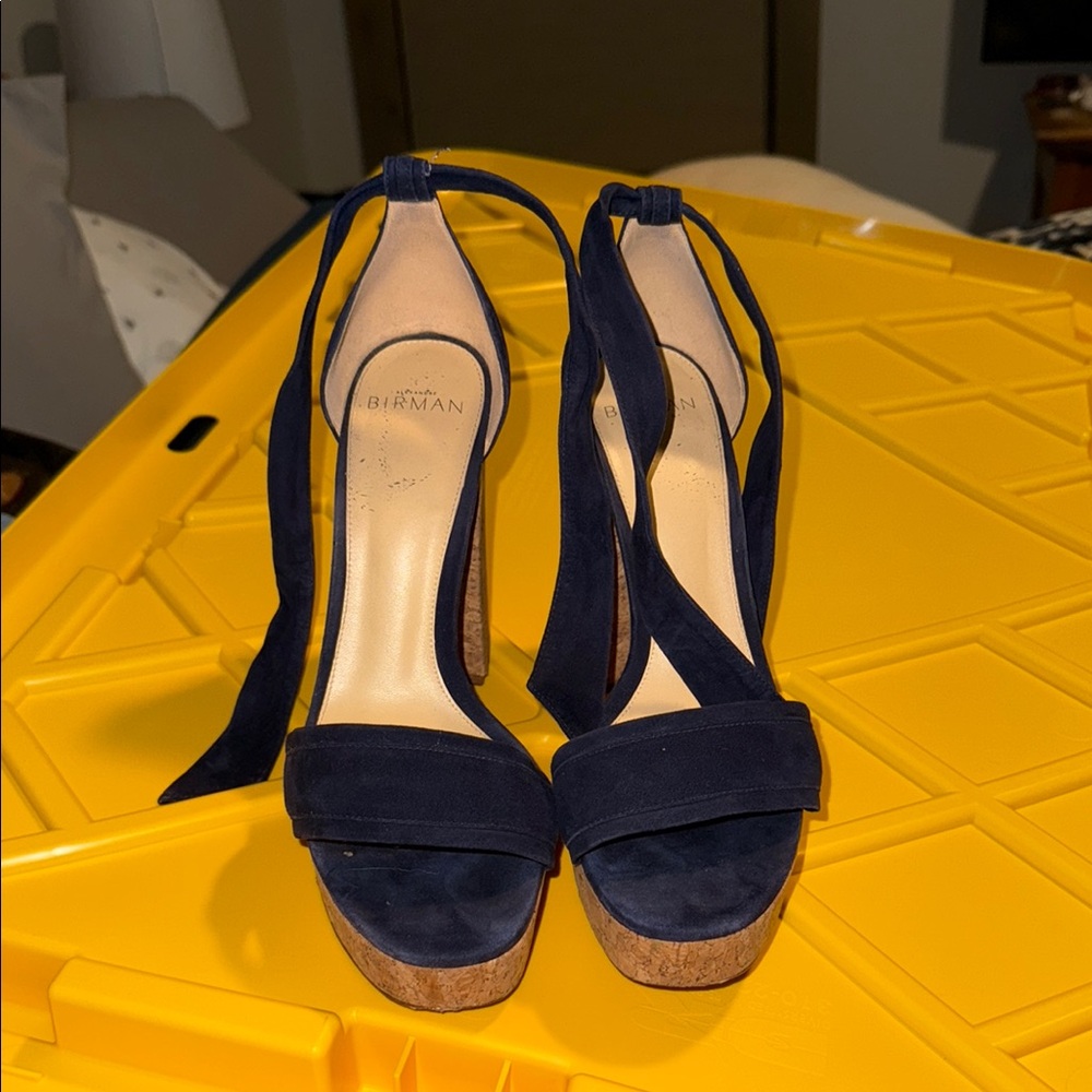 Alexandre Birman Women's Navy Heels